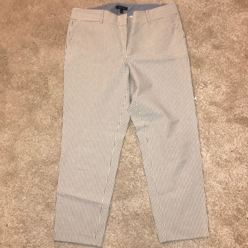Ann Taylor ankle pant